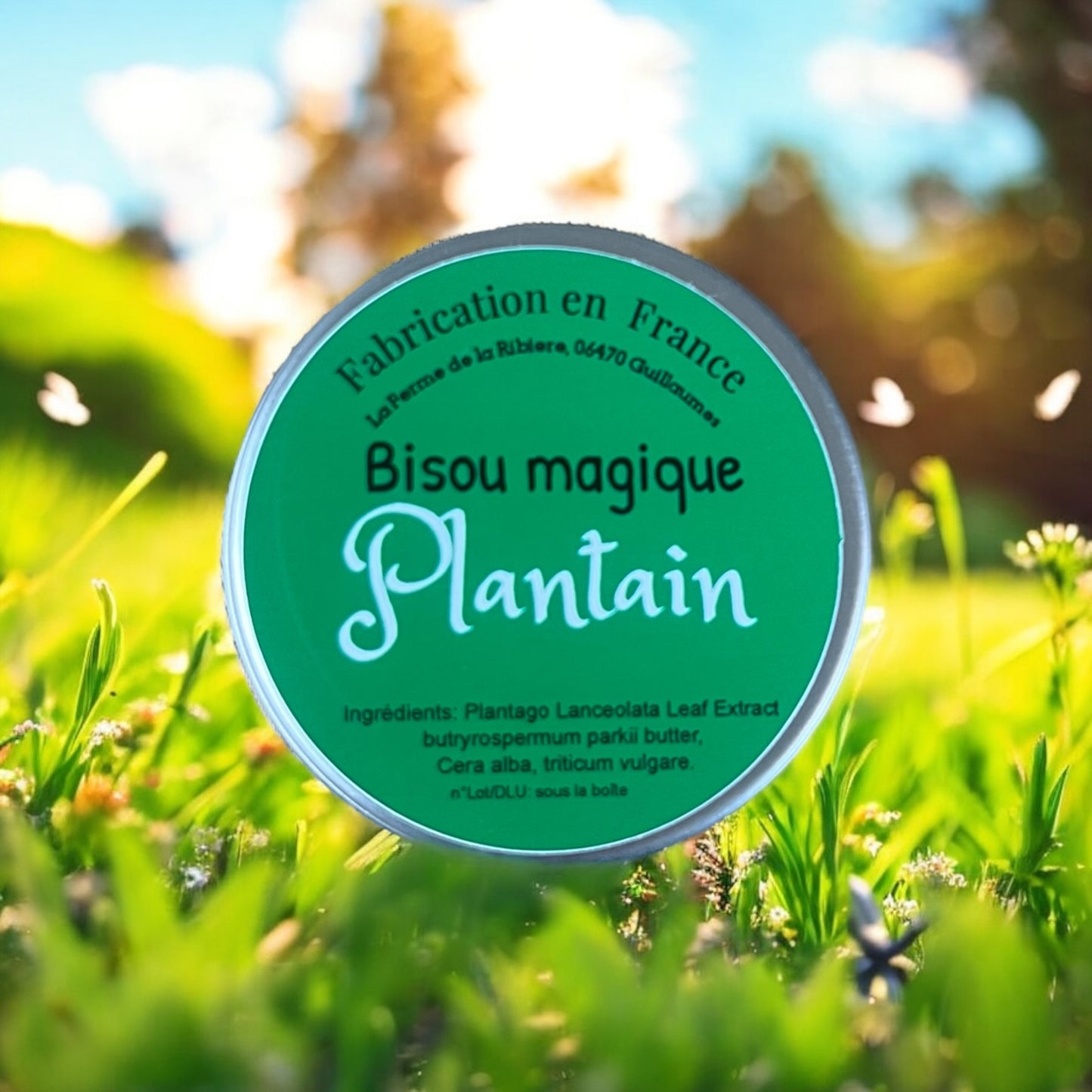 Baume à lèvres plantain